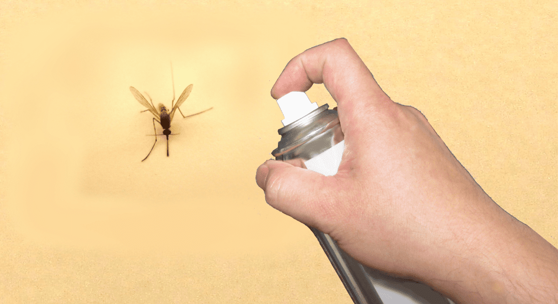 How To Get Rid Of Gnats From Your Home
